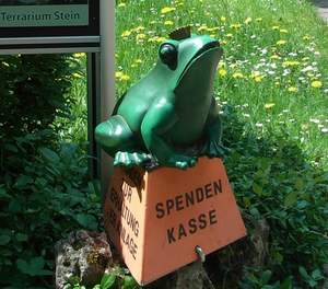 Spendenfrosch
