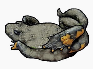 Kahnstellung