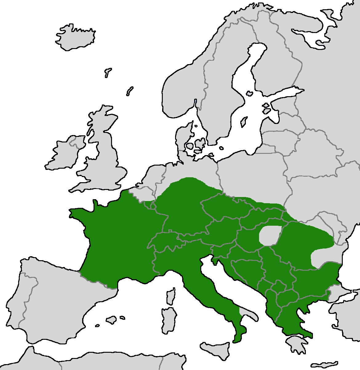 Verbreitungskarte
