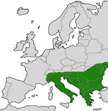 verbreitungskarte