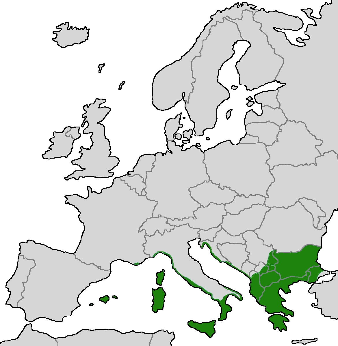 Verbreitungskarte