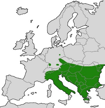verbreitungskarte